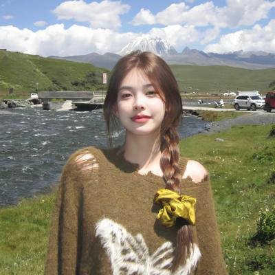 精灵宝可梦:结晶塔的帝王